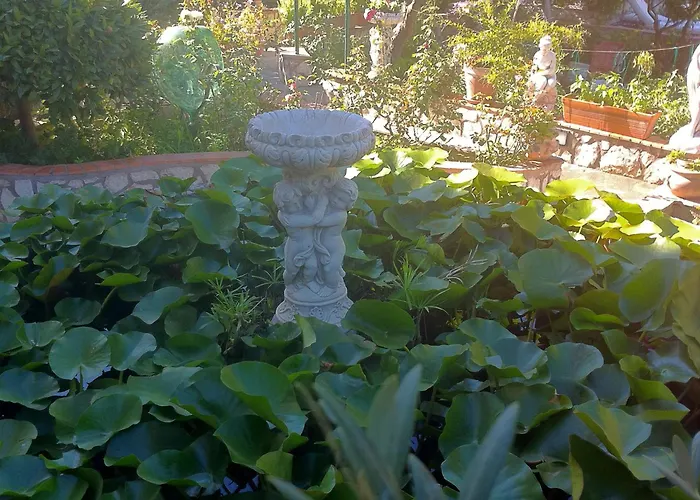 Hotel sul MarePalazzo A Mare