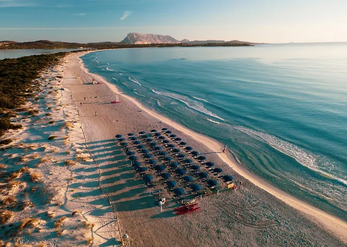Hotel Le Mimose San Teodoro 
