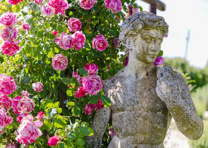 I Delfini - Natural B&B Cesenatico