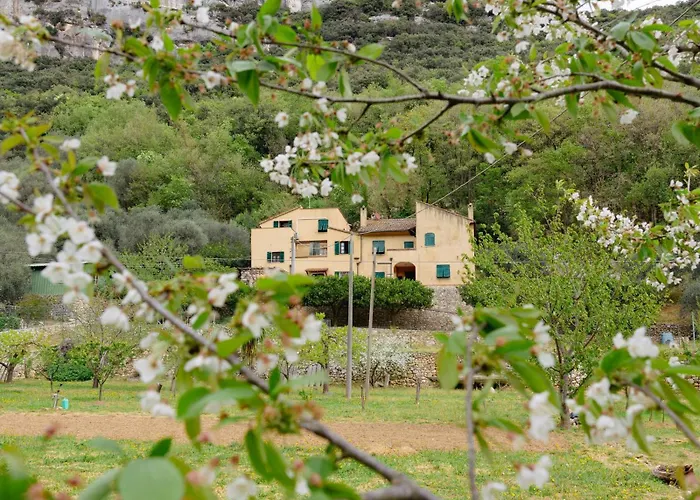 Agriturismo Alveare Finale Ligure