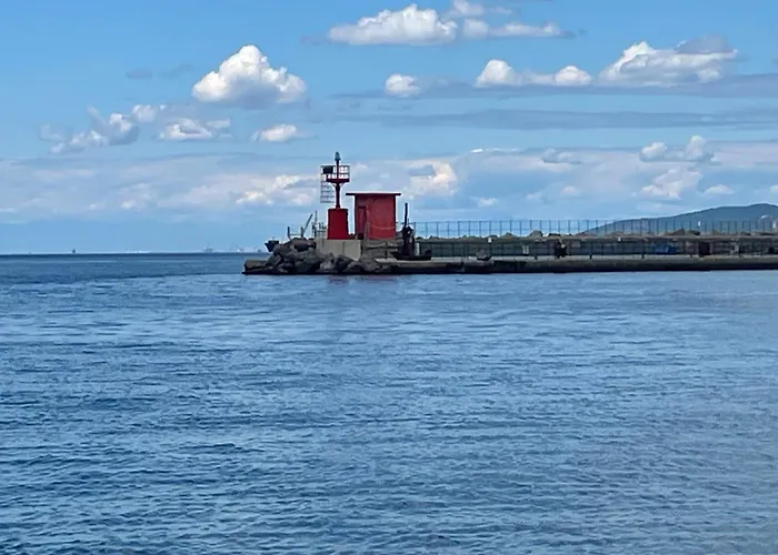 Trieste Sea Life