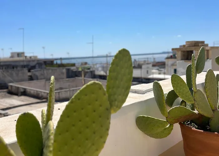 B&B Dimora San Vincenzo Gallipoli