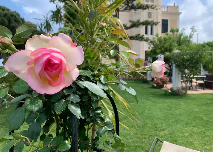 Bed and Breakfast Villino Eleonora Parghelia
