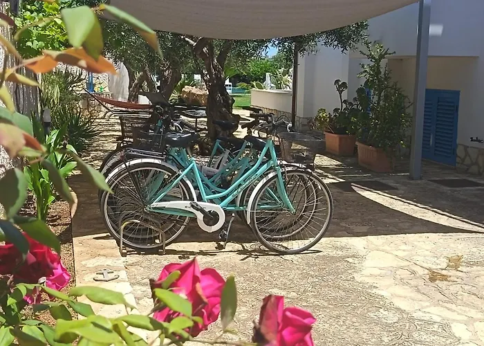 Signorino Resort Lido Signorino