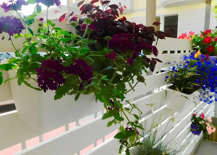 Hotel Dolores Rimini