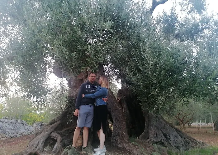 Agriturismo Salinola Ostuni