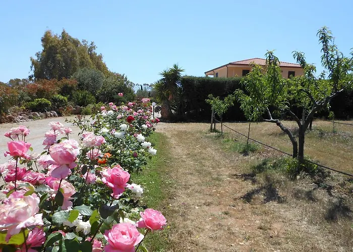 Bed And Breakfast Le Camelie Alghero