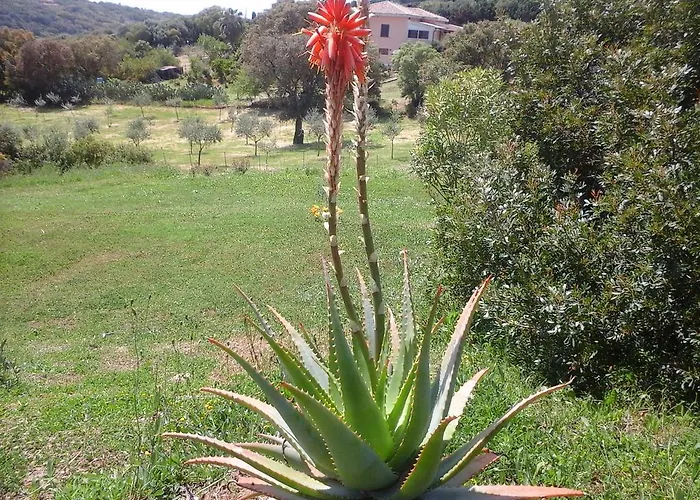 Affittacamere Valverde di Naitana Rita Alghero