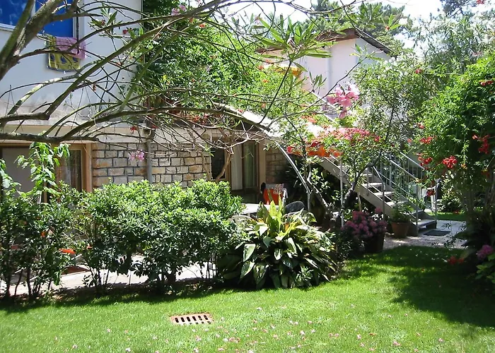 Aparthotel Casa Furrer Tirrenia