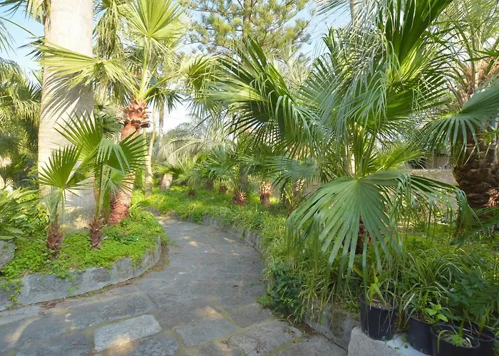 B&B Villa Regine Forio di Ischia