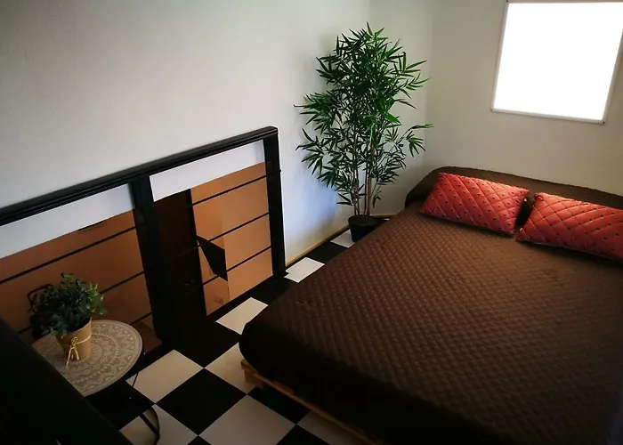 Hotel sul MareAmelia Apts & Rooms