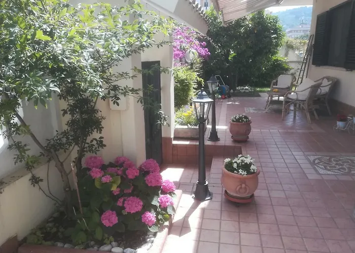 Il Cavalluccio Marino Montesilvano Marina